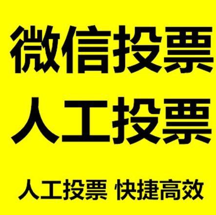 邢台市微信刷票怎么投票